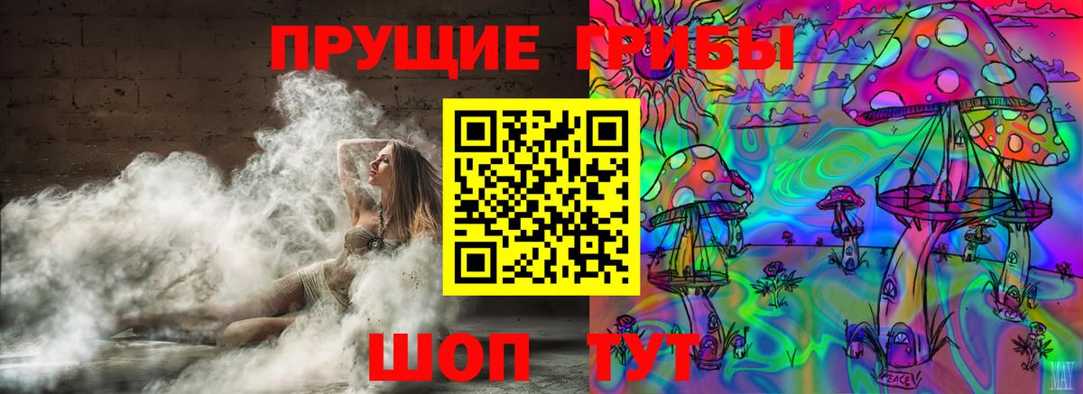 Галлюциногенные грибы Cubensis Тосно