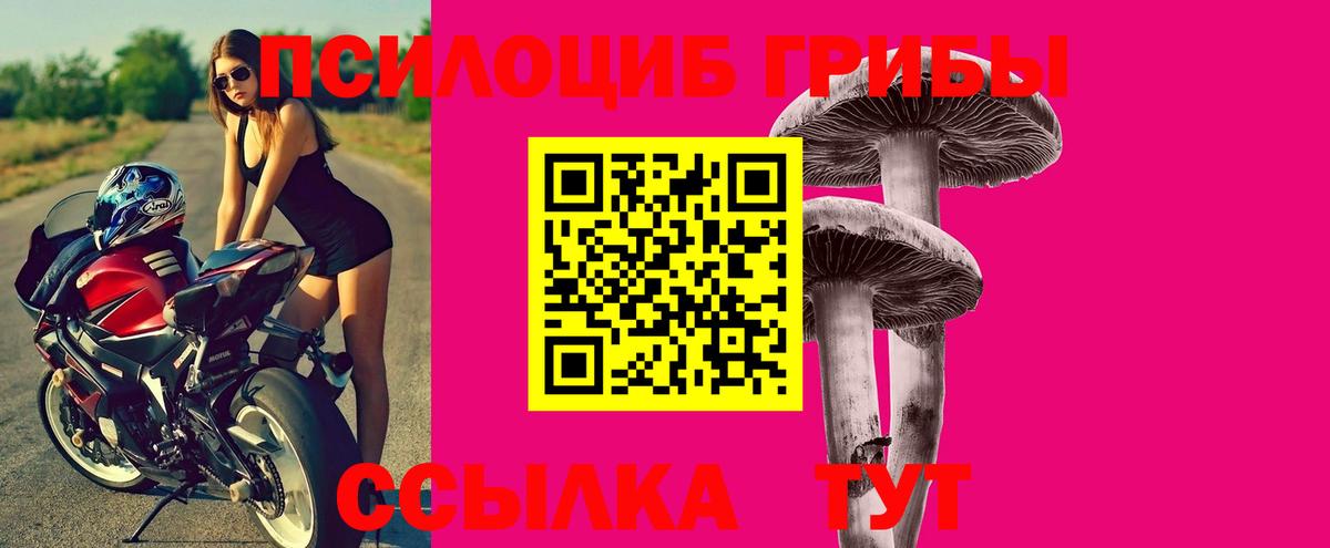 Тосно  Псилоцибиновые грибы ЛСД  Вход с VPN 